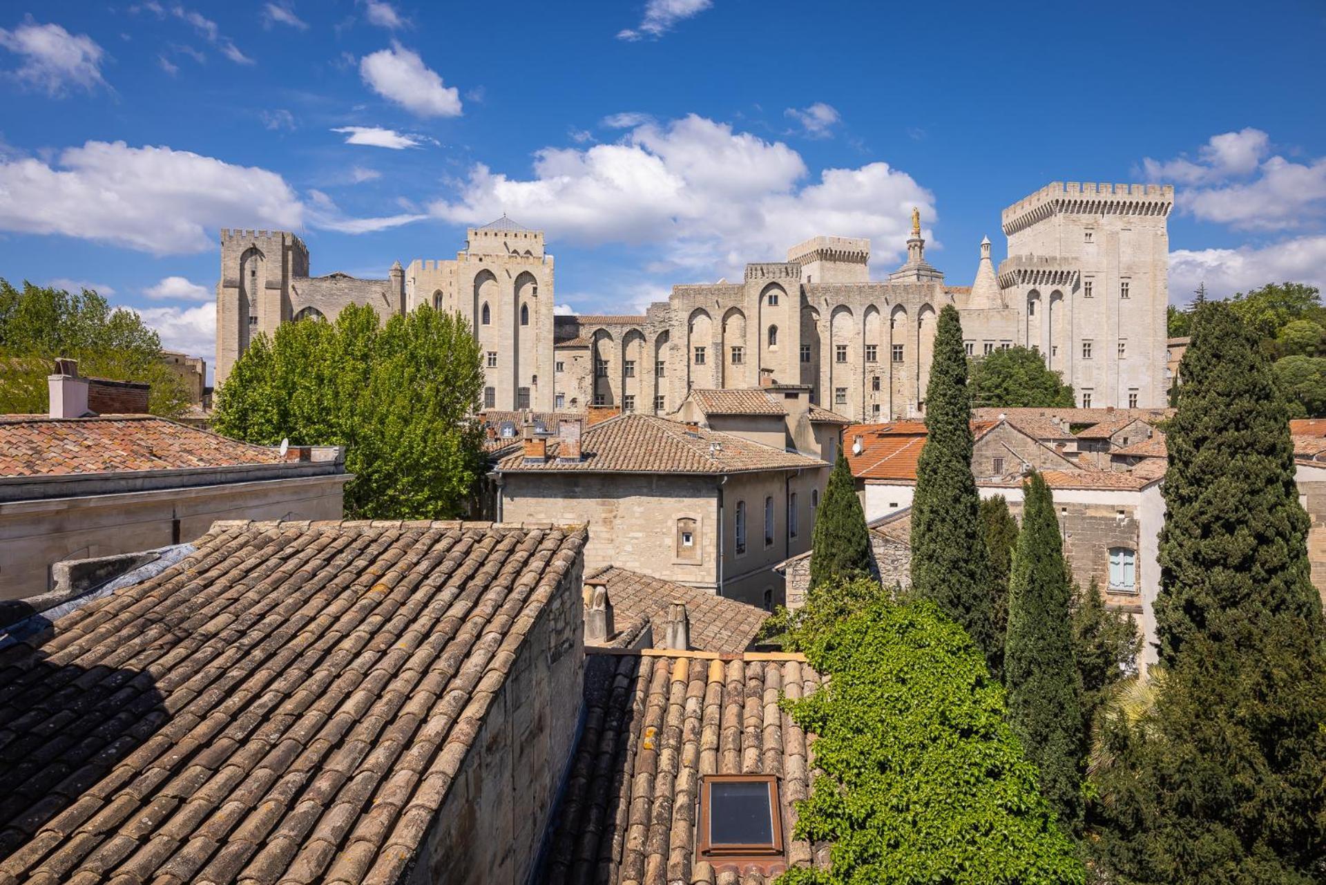 Avignon Intra-Muros, Vue Palais Des Papes Esterno foto